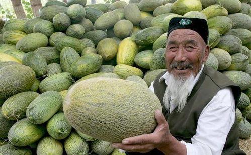 一岁吃哈密瓜