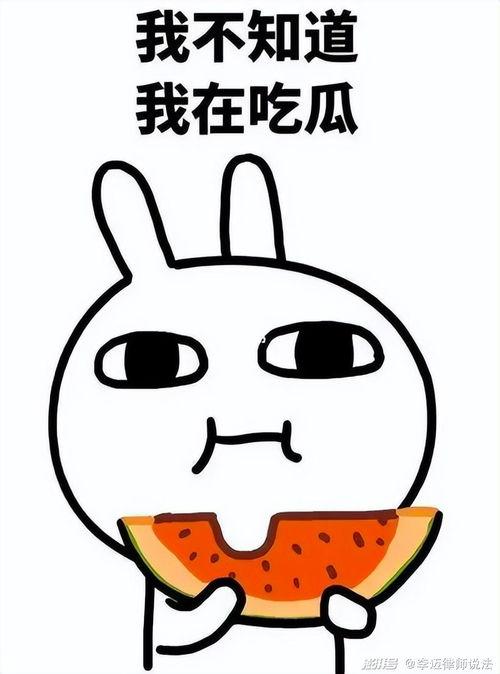 吃瓜虎虎,揭秘娱乐圈背后的那些事儿