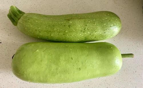 立秋吃瓜素材图片,探寻传统美食文化的魅力