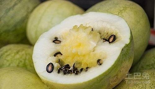 吃甘肃籽瓜,甘肃籽瓜的独特风味之旅