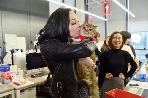 明星cp营业吃瓜,揭秘幕后营业吃瓜真相