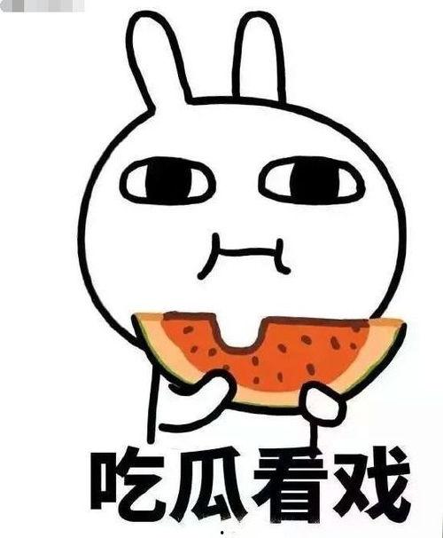 吃瓜小齐,揭秘娱乐圈那些不为人知的幕后故事