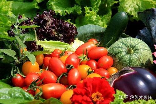 牧院英才吃瓜,揭秘校园里的那些“瓜”