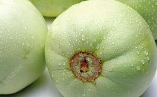 妊娠糖尿病可以吃瓜吗,瓜类食物的适量摄入原则