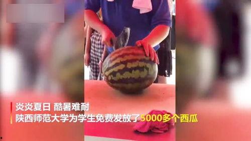 各大高校吃瓜视频资源