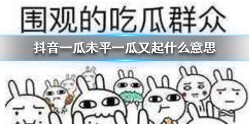 日常在抖音吃瓜,揭秘网络热点背后的真相