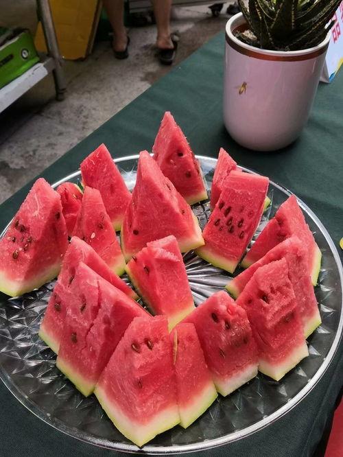 吃瓜比赛点头吃饭,点头吃饭的趣味瞬间