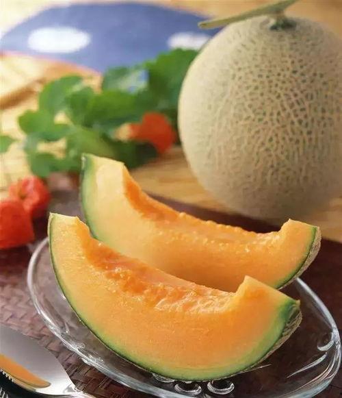 鹅苗吃哈密瓜,探索哈密瓜的独特美味