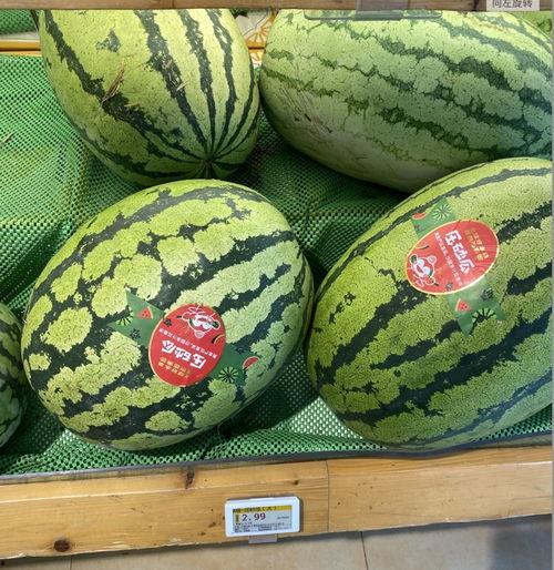 一块瓜还没吃,未尝先品——揭秘未吃之瓜的神秘魅力