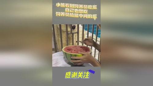 自己吃瓜违法吗